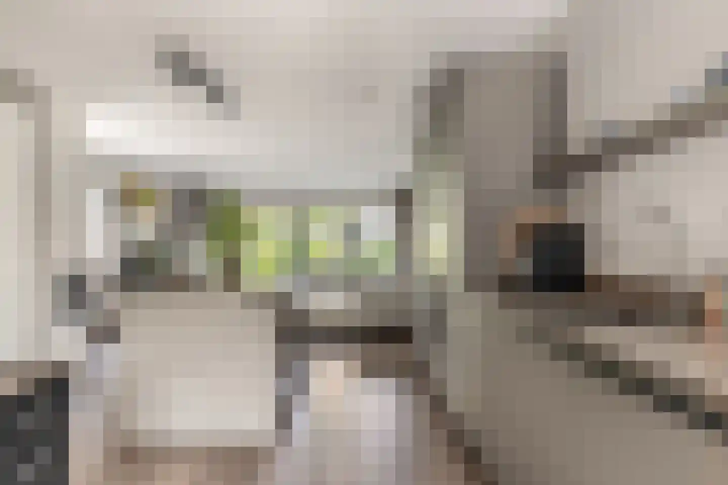 Thomas Morelaan 99 Hoofddorp thumbnail 19