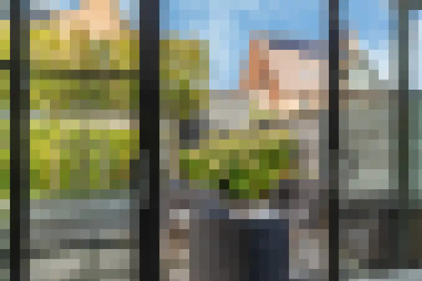 Thomas Morelaan 99 Hoofddorp thumbnail 22