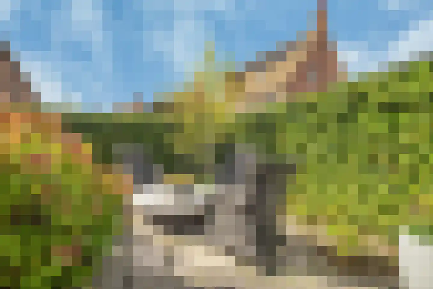 Thomas Morelaan 99 Hoofddorp thumbnail 26