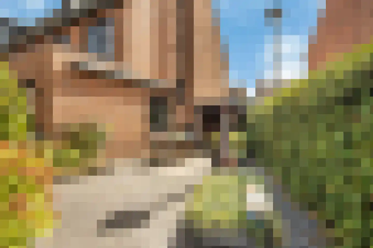 Thomas Morelaan 99 Hoofddorp thumbnail 28