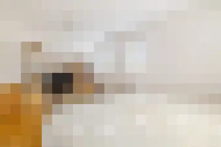 Thomas Moresingel 11 Huizen thumbnail 18