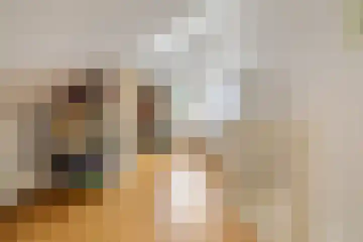 Thomas Moresingel 11 Huizen thumbnail 26