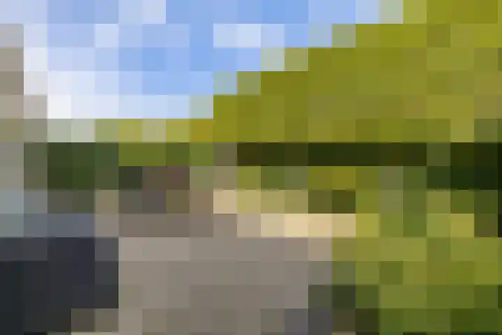 Thomas Moresingel 11 Huizen thumbnail 29