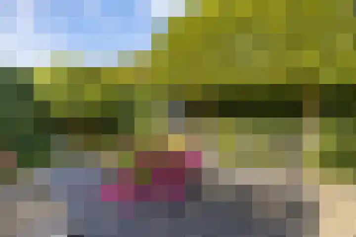 Thomas Moresingel 11 Huizen thumbnail 30