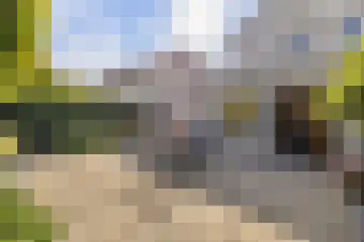 Thomas Moresingel 11 Huizen thumbnail 32