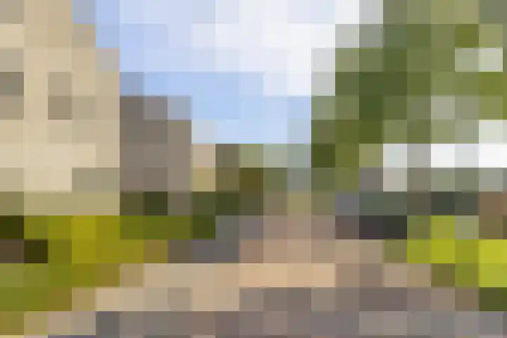 Thomas Moresingel 11 Huizen thumbnail 33