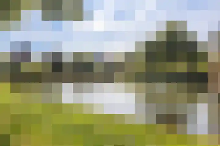 Thomas Moresingel 11 Huizen thumbnail 34