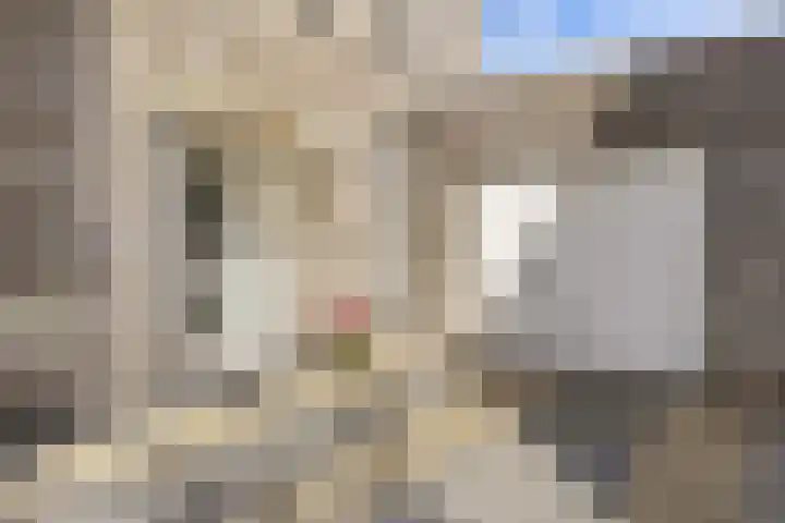 Thomas Moresingel 11 Huizen thumbnail 5