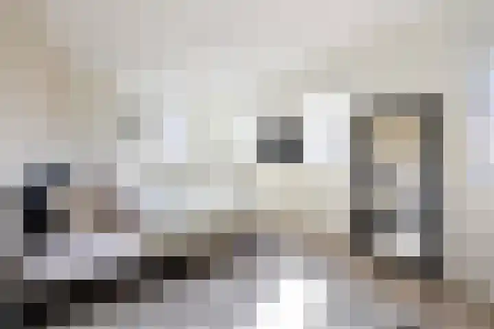 Thomas Moresingel 3 Huizen thumbnail 10