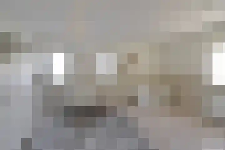 Thomas Moresingel 3 Huizen thumbnail 11