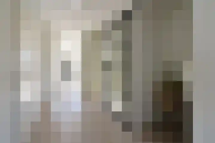 Thomas Moresingel 3 Huizen thumbnail 13