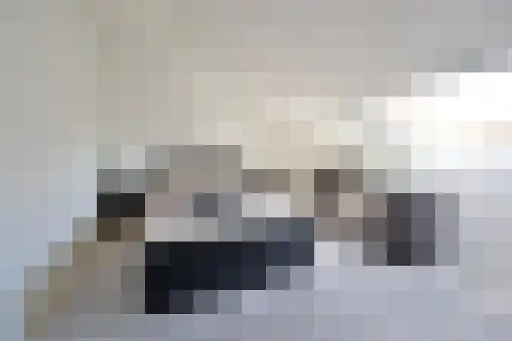 Thomas Moresingel 3 Huizen thumbnail 15
