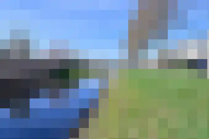 Thomas Moresingel 3 Huizen thumbnail 16
