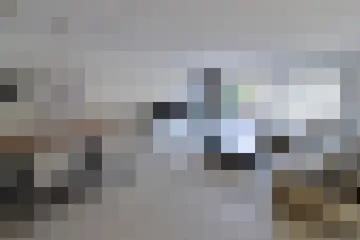 Thomas Moresingel 3 Huizen thumbnail 4