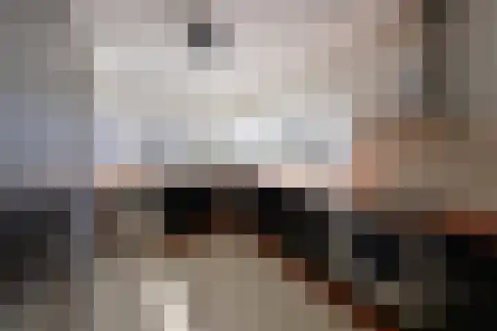 Thomas Moresingel 3 Huizen thumbnail 6