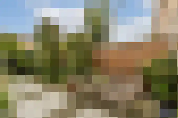 Thomas Prinslaan 117 Amsterdam thumbnail 11
