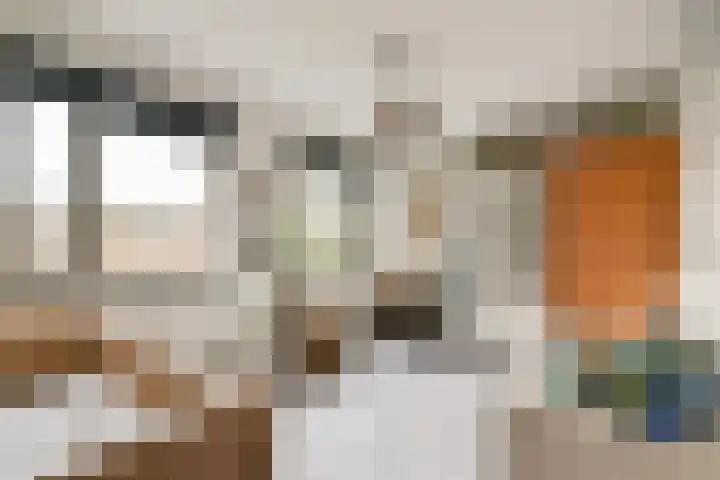 Thomas Prinslaan 117 Amsterdam thumbnail 17