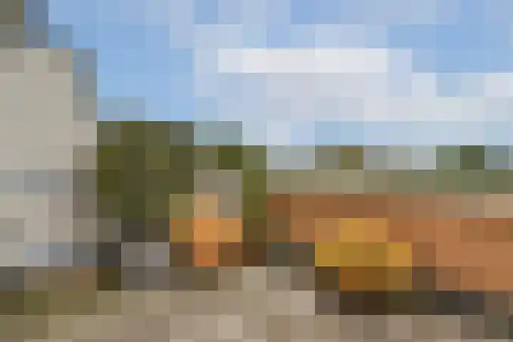 Thomas Prinslaan 117 Amsterdam thumbnail 22