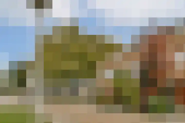 Thomas Prinslaan 117 Amsterdam thumbnail 25