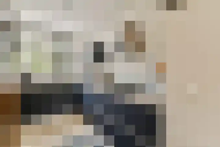 Thomas Prinslaan 117 Amsterdam thumbnail 8