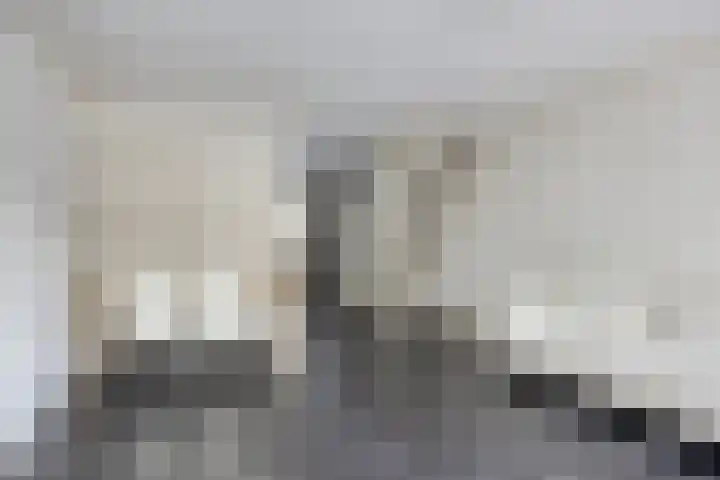 Thomas Prinslaan 77 Amsterdam thumbnail 12