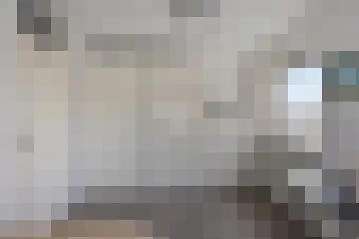 Thomas Prinslaan 77 Amsterdam thumbnail 17