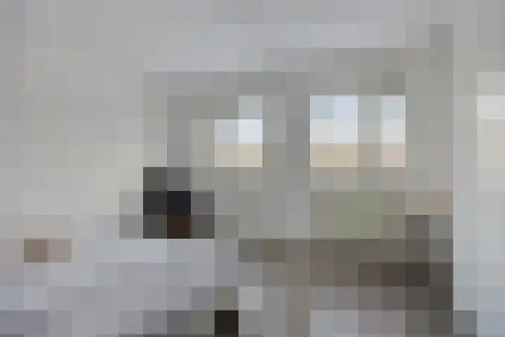 Thomas Prinslaan 77 Amsterdam thumbnail 21