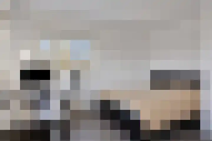 Thomas Prinslaan 77 Amsterdam thumbnail 4