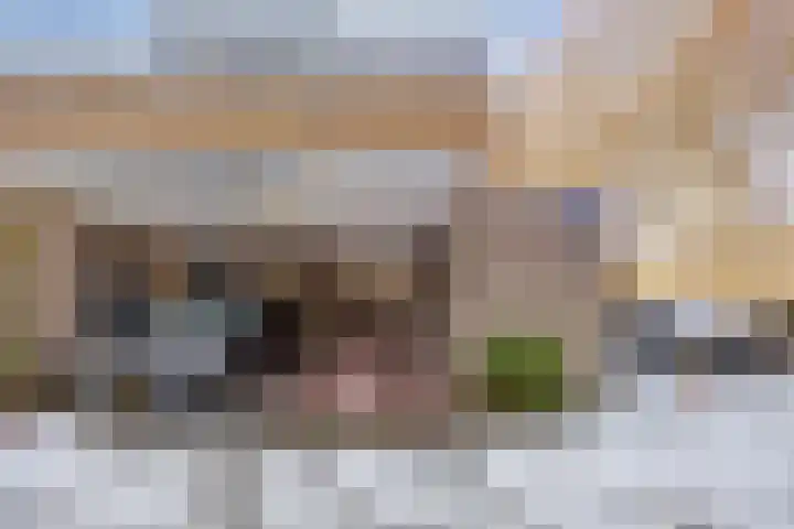 Thomas Prinslaan 77 Amsterdam thumbnail 6