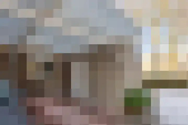 Thomas Prinslaan 77 Amsterdam thumbnail 8