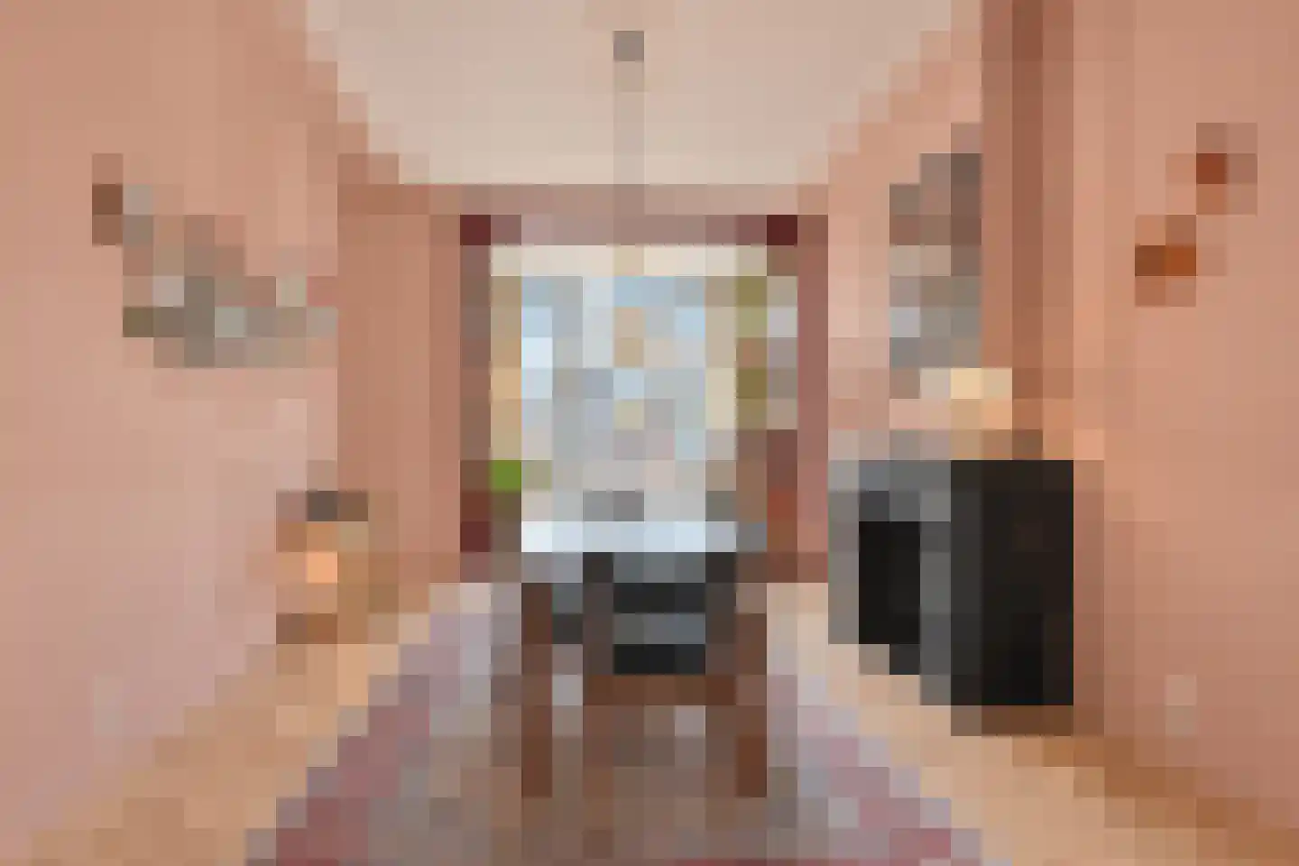 Thomas Schwenckestraat 38 Den Haag thumbnail 11
