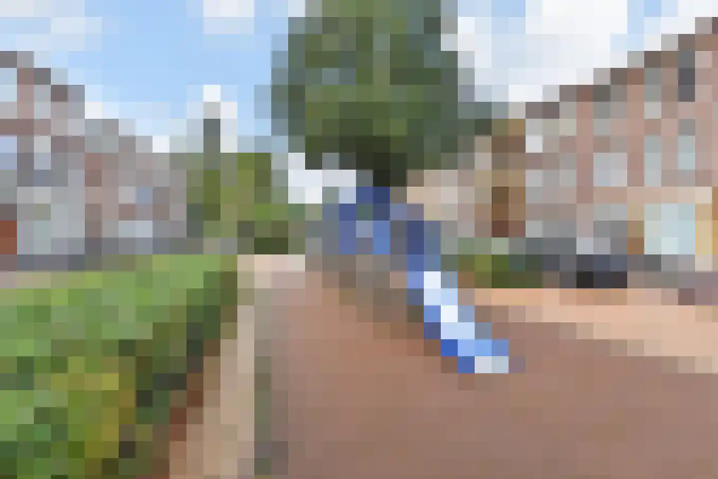 Thomas Schwenckestraat 38 Den Haag thumbnail 42