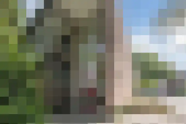 Thomas van Aquinostraat 19 Tilburg thumbnail 16