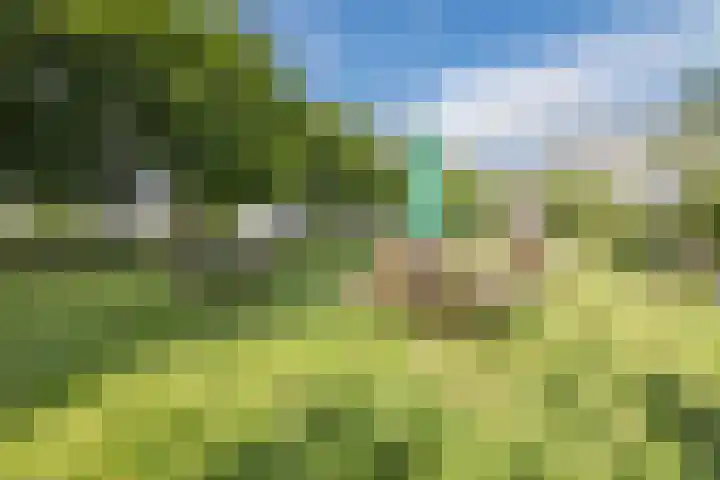 Thomas van Aquinostraat 19 Tilburg thumbnail 21