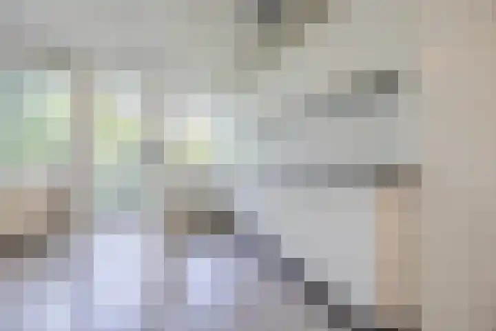 Thomas van Aquinostraat 19 Tilburg thumbnail 5
