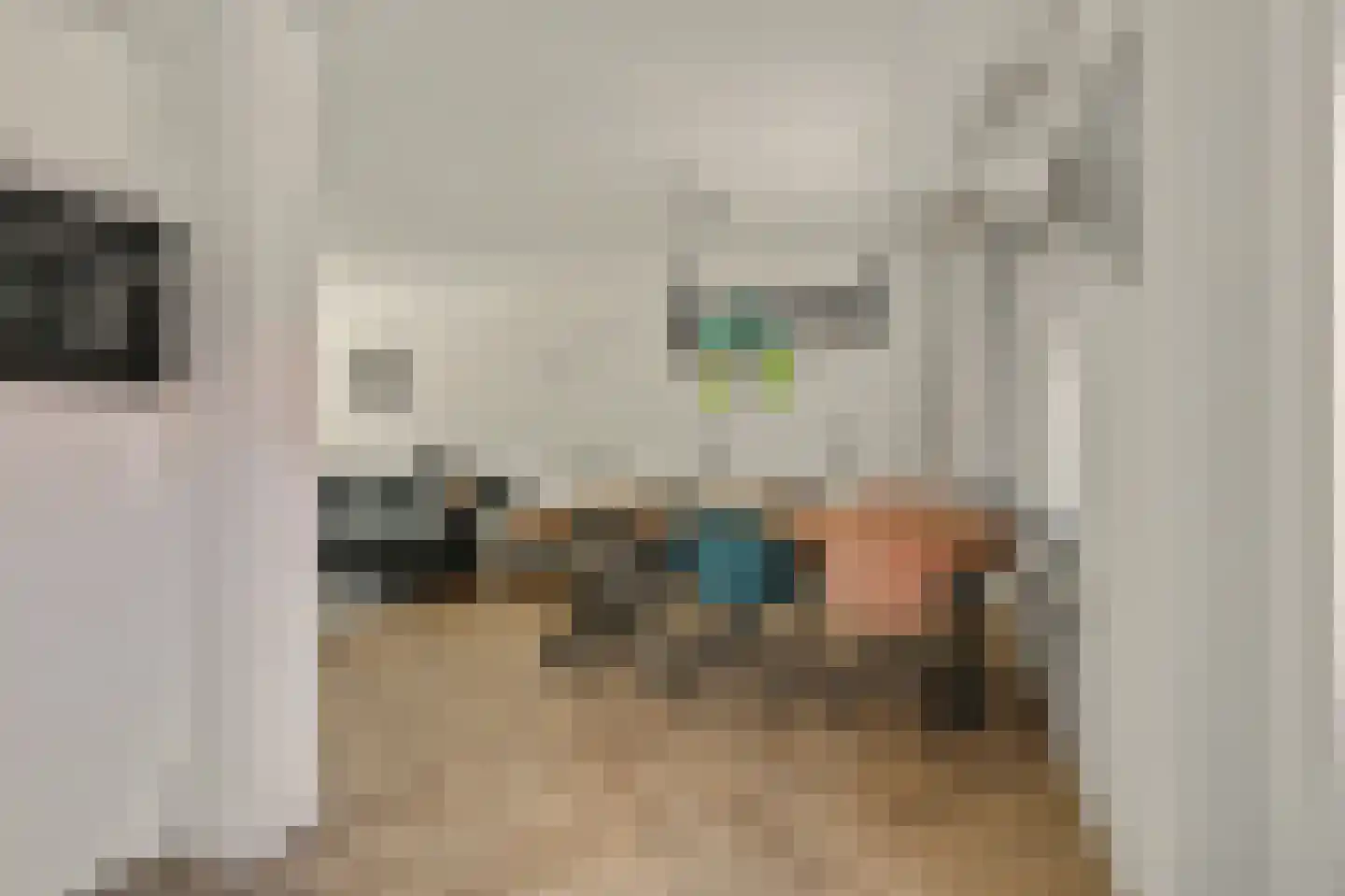 Thomas van Aquinostraat 30 Tilburg thumbnail 14