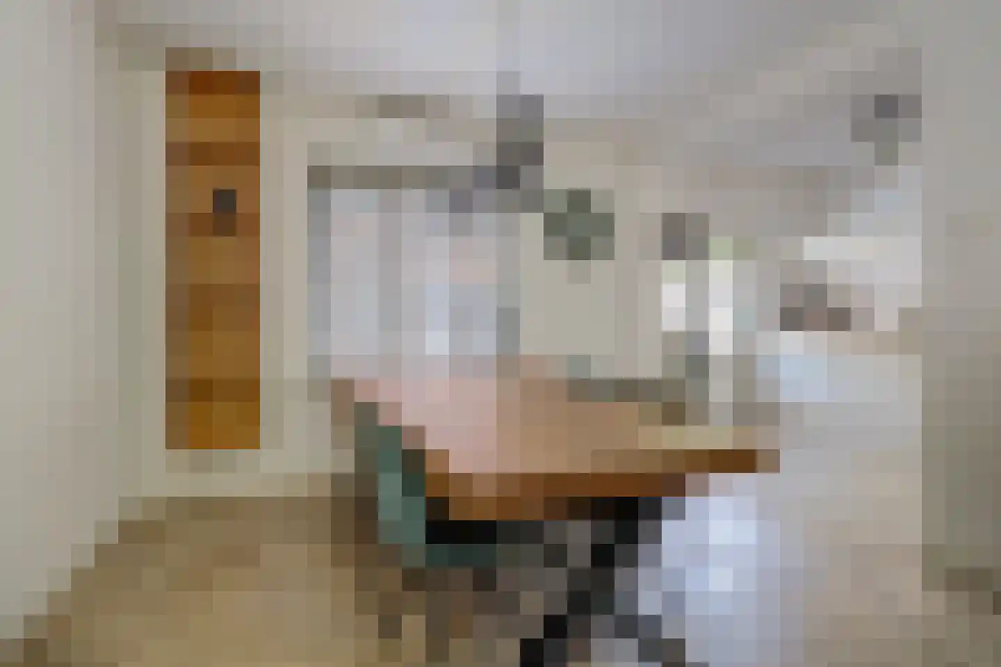 Thomas van Aquinostraat 30 Tilburg thumbnail 9