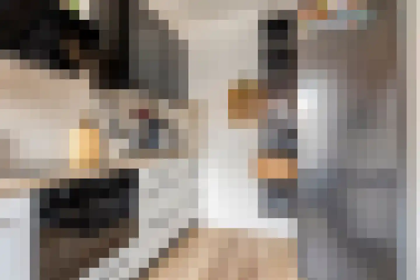Thomas van Aquinostraat 62 Tilburg thumbnail 11
