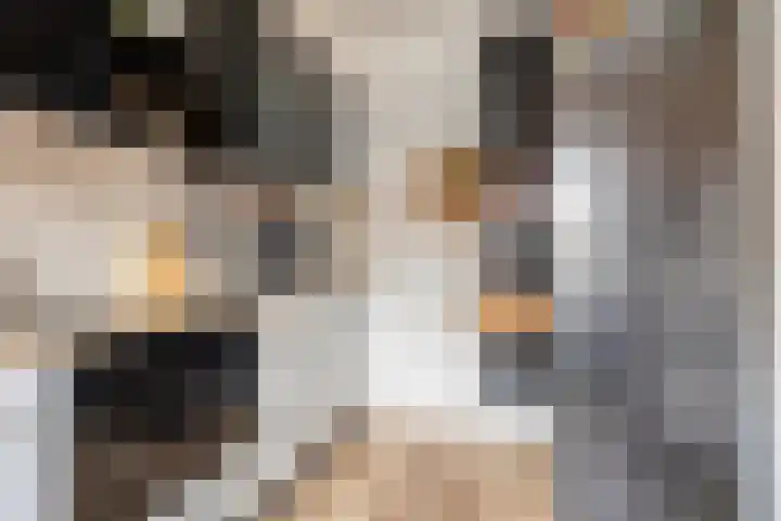 Thomas van Aquinostraat 62 Tilburg thumbnail 11