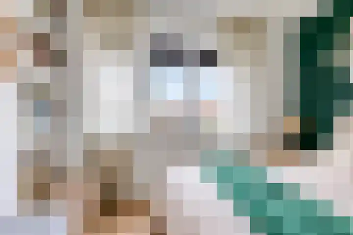 Thomas van Aquinostraat 62 Tilburg thumbnail 16