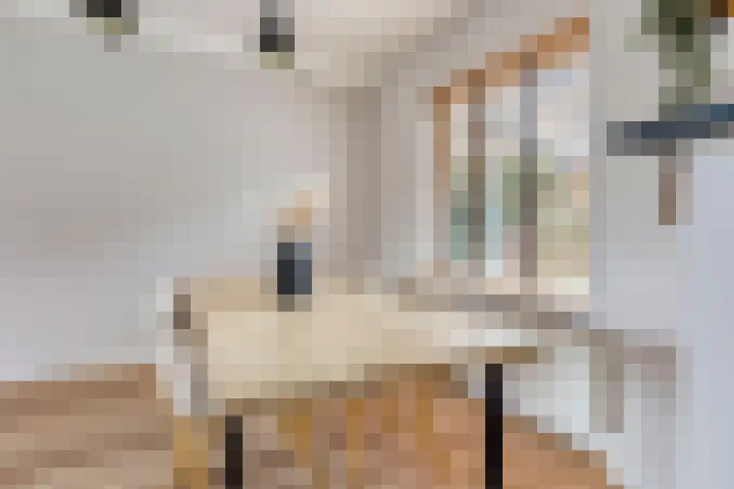 Thomas van Aquinostraat 62 Tilburg thumbnail 8