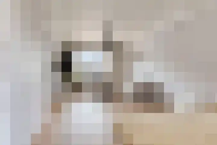 Thomas van Aquinostraat 62 Tilburg thumbnail 9