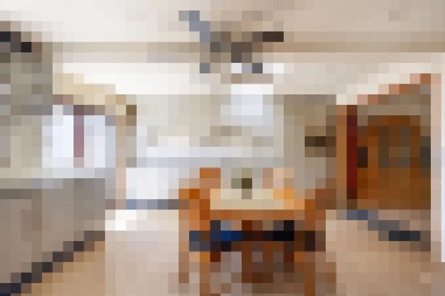 Thomas van de Dijkweg 2 Zuidhorn thumbnail 15