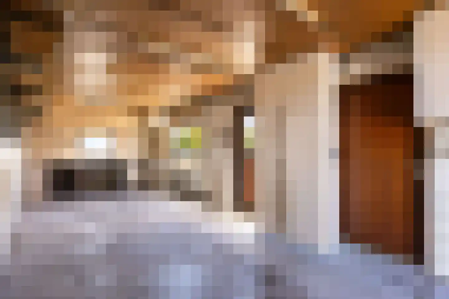 Thomas van de Dijkweg 2 Zuidhorn thumbnail 20