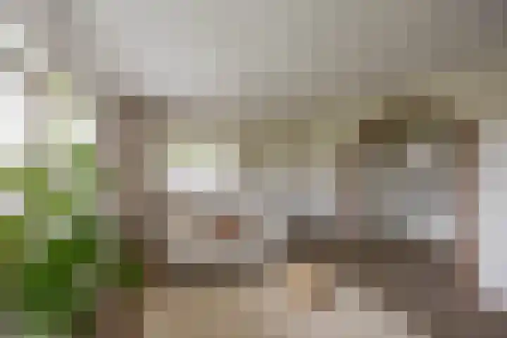 Thomas van de Dijkweg 29 Zuidhorn thumbnail 10
