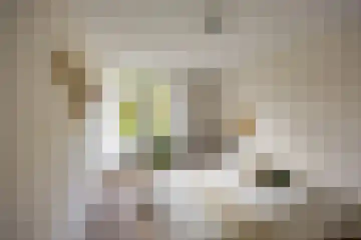 Thomas van de Dijkweg 29 Zuidhorn thumbnail 14