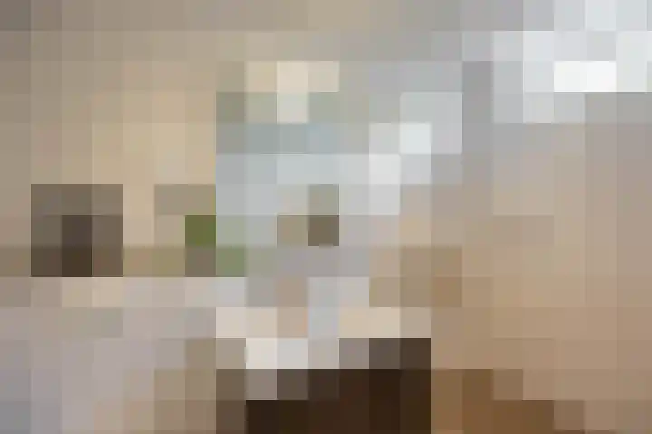 Thomas van de Dijkweg 29 Zuidhorn thumbnail 20