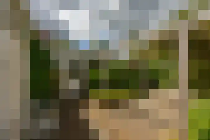 Thomas van de Dijkweg 29 Zuidhorn thumbnail 27