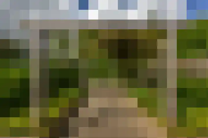 Thomas van de Dijkweg 29 Zuidhorn thumbnail 28