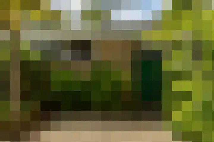Thomas van de Dijkweg 29 Zuidhorn thumbnail 29